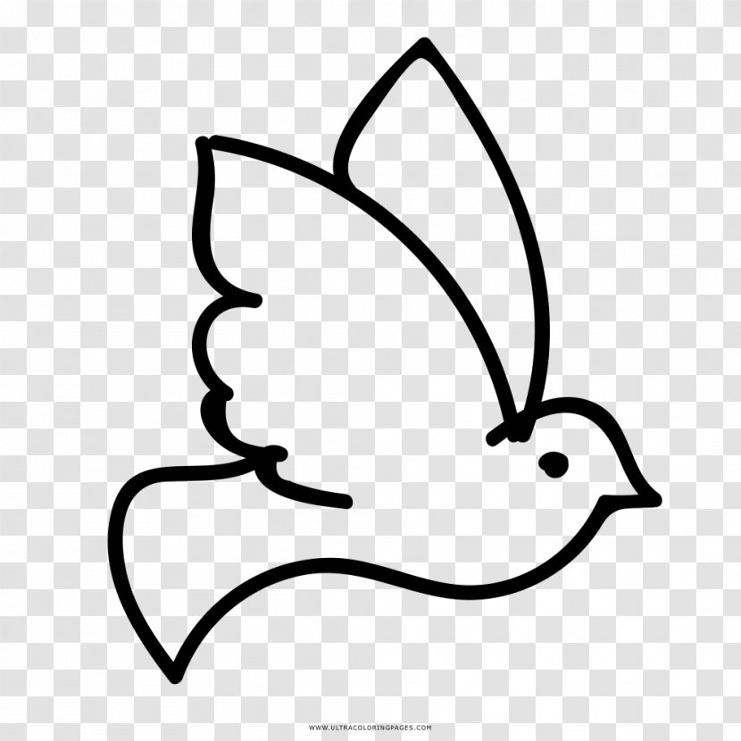 Rock Dove Columbidae Coloring Book Drawing Ausmalbild - White - Holy Spirit Transparent PNG