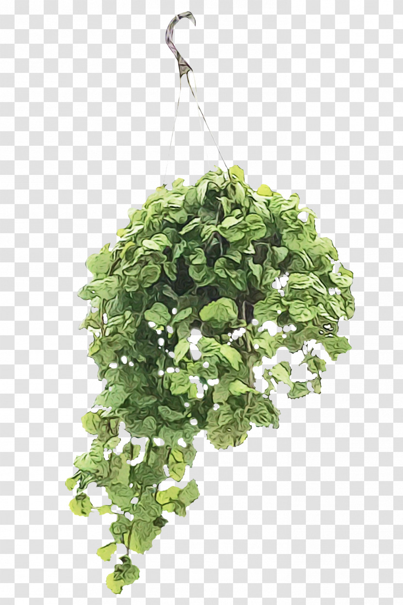 Leaf Flowerpot Herb Tree Branching Transparent PNG