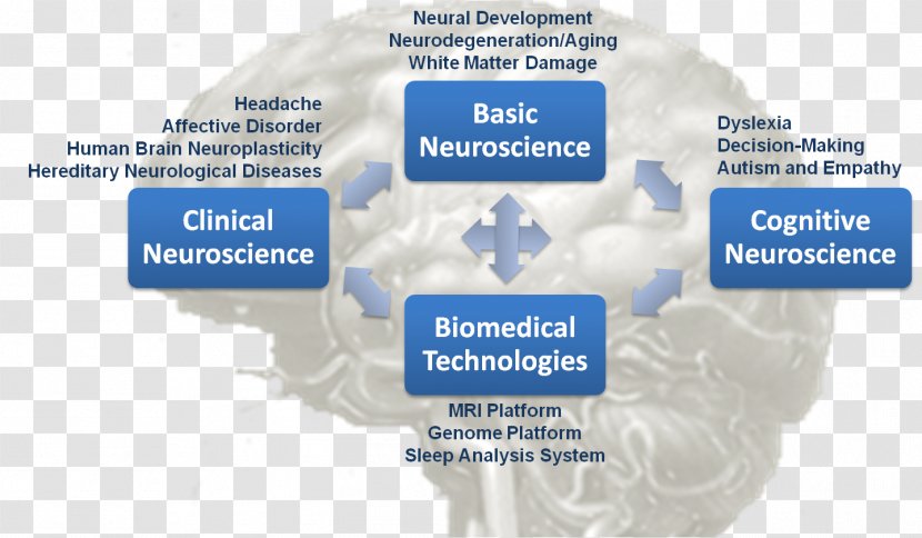 Clinical Neuroscience Research Developmental Cognitive - Brain - Science Transparent PNG