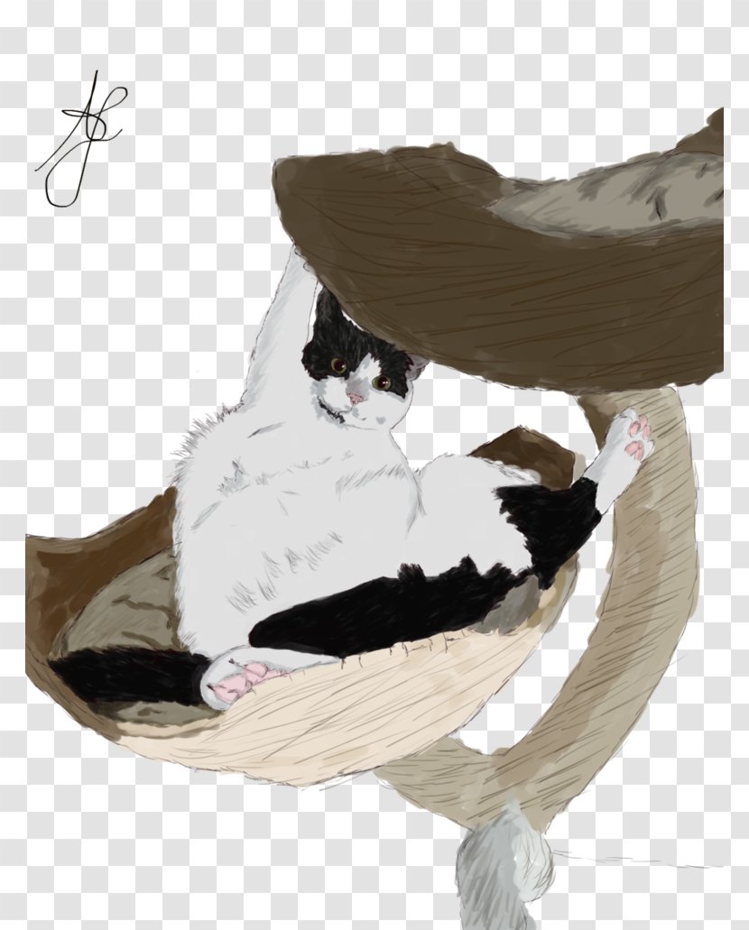 Shoe - Feather - Scratch Cat Transparent PNG