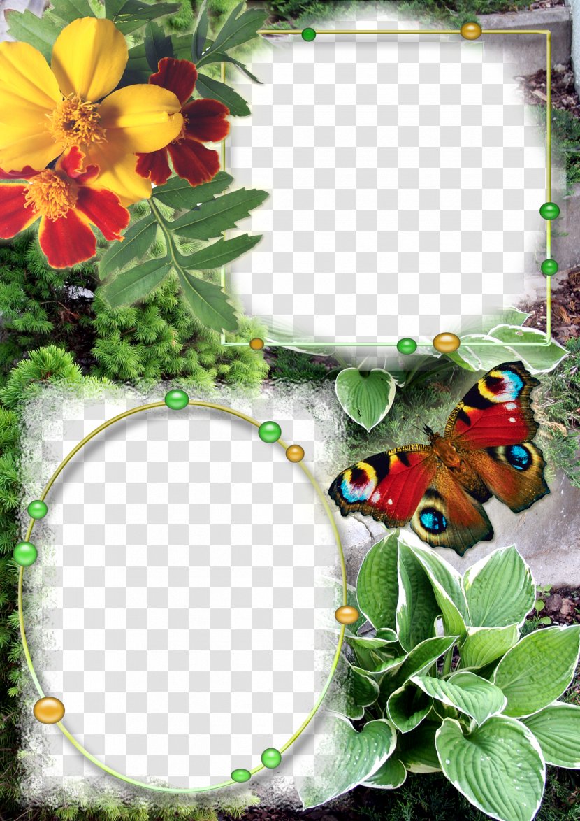 Picture Frames Photography - Pollinator - Retro Style Fine Camera Frame Transparent PNG