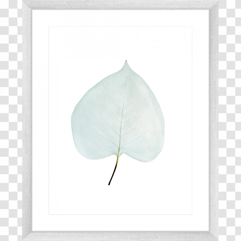 Leaf Petal - Watercolor Transparent PNG