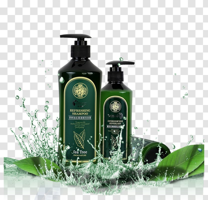 Shampoo - Image Resolution - Tea Tree Oil Anti-Dandruff Refreshing Transparent PNG