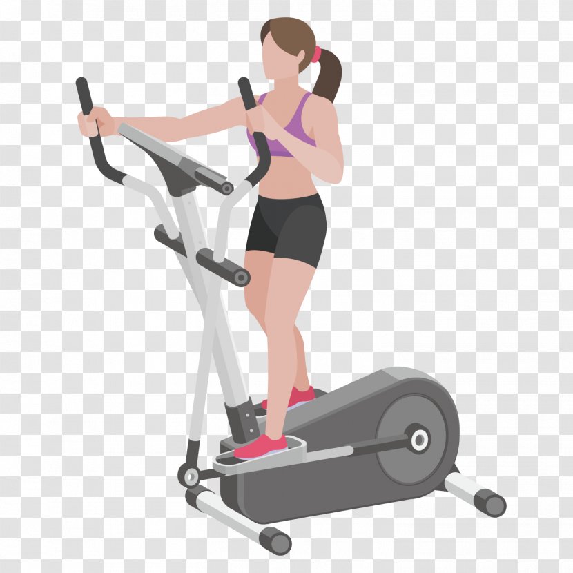 Elliptical Trainer Physical Fitness Exercise Centre - Heart - Beauty Transparent PNG