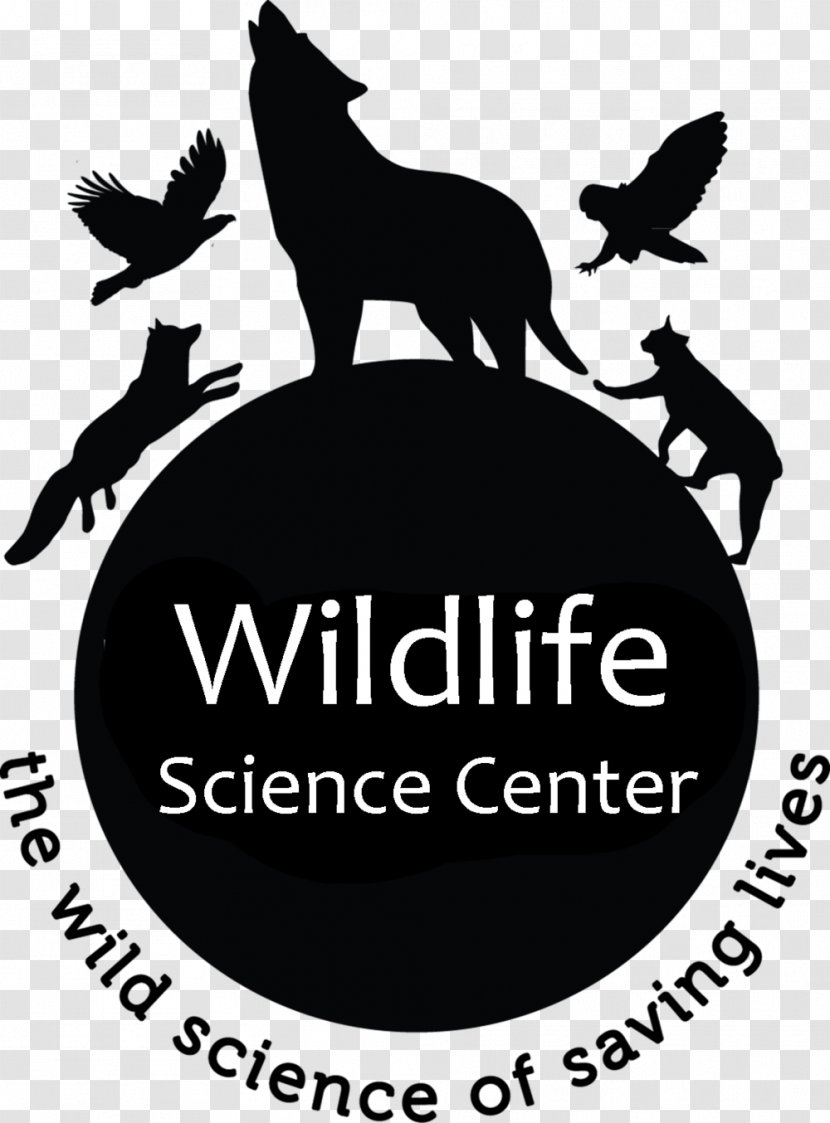 Dog Wildlife Science Center Canidae - Eastern Screech Owl Transparent PNG