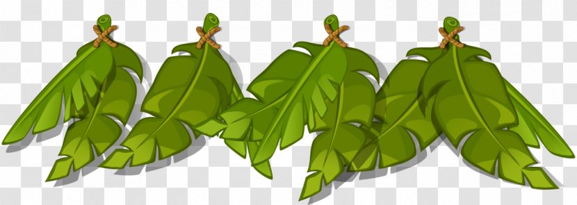 Leaf Cartoon Plant Stem Transparent PNG