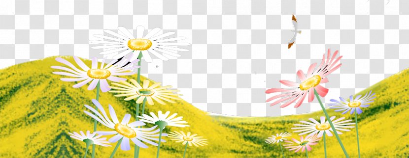 Yellow Floral Design Illustration - Computer - Chrysanthemum Transparent PNG
