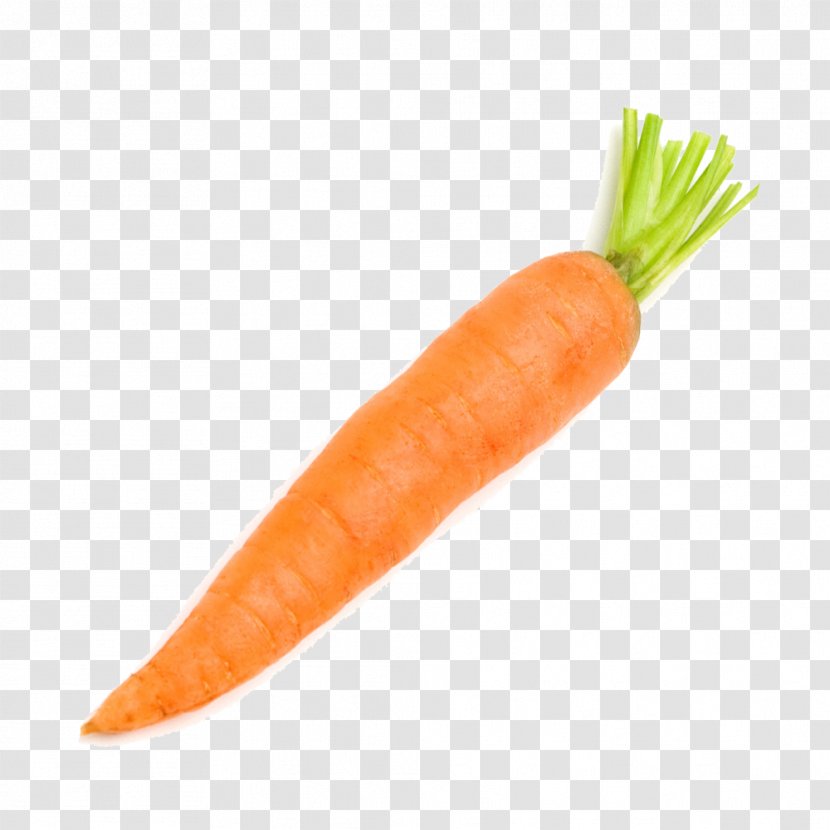 Carrot Vegetable Radish - Baby Transparent PNG