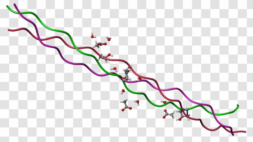 Collagen Helix Triple Protein - Lathyrism - Chimera Transparent PNG