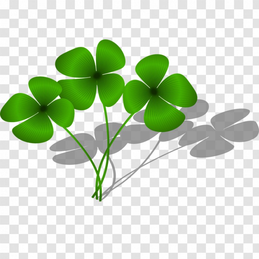 Four-leaf Clover Shamrock White Luck Clip Art - Green - Renderings Transparent PNG