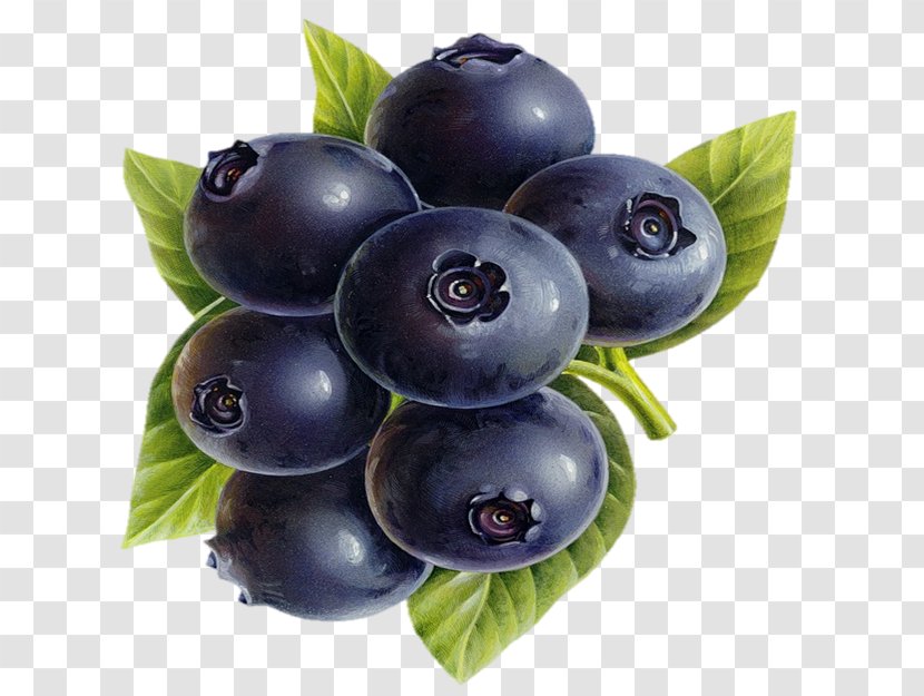 Blueberry Bilberry Antioxidant Health Dietary Supplement - Cardiovascular Disease - Pomegranate Juice Transparent PNG