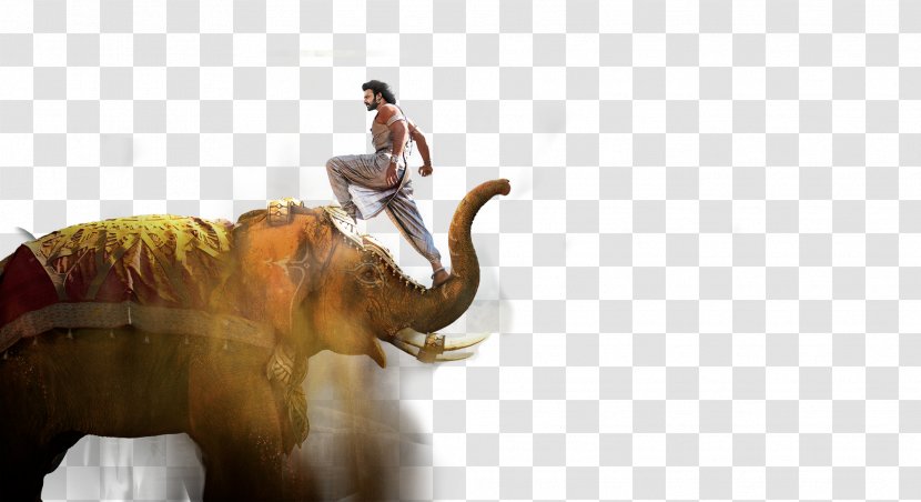4K Resolution Desktop Wallpaper Ultra-high-definition Television 8K - Baahubali 2 The Conclusion - Elephant Transparent PNG