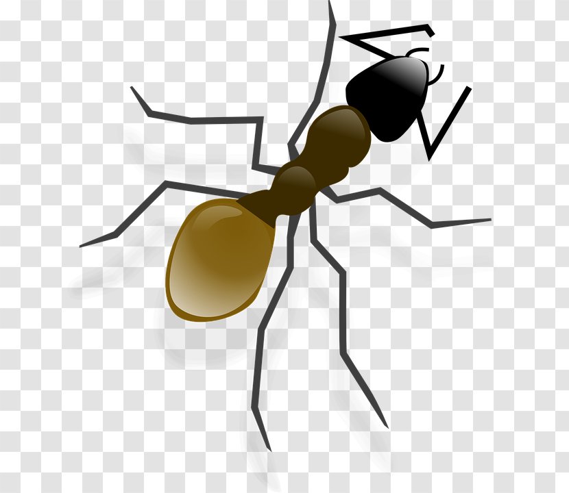 Andy Ant Clip Art - Ants Icon Transparent PNG