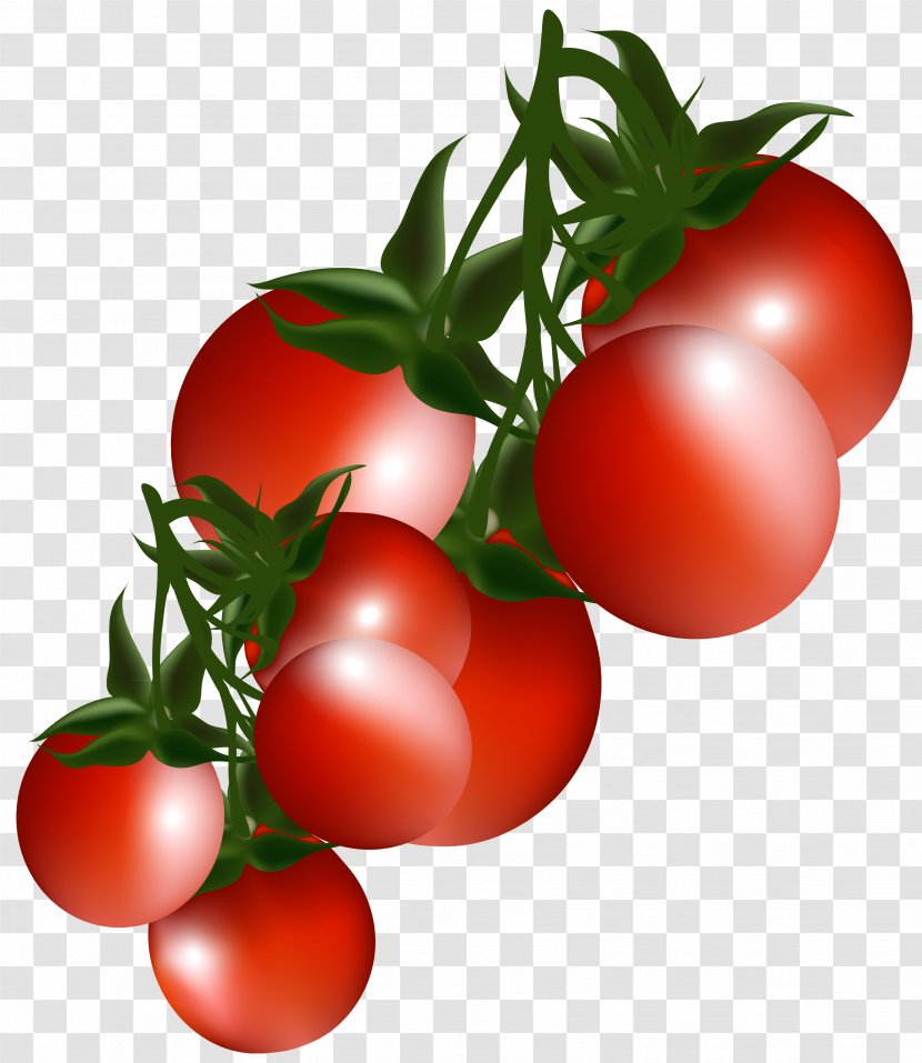 Vegetable Clip Art - Fruit - Tomatoes Branch Clipart Picture Transparent PNG
