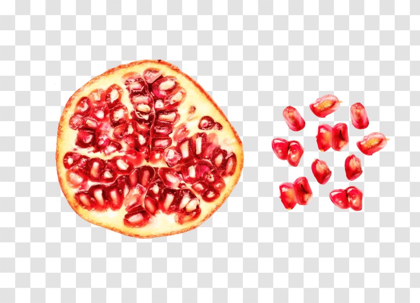Pomegranate Grapefruit Food Color Scheme - Breakfast Transparent PNG