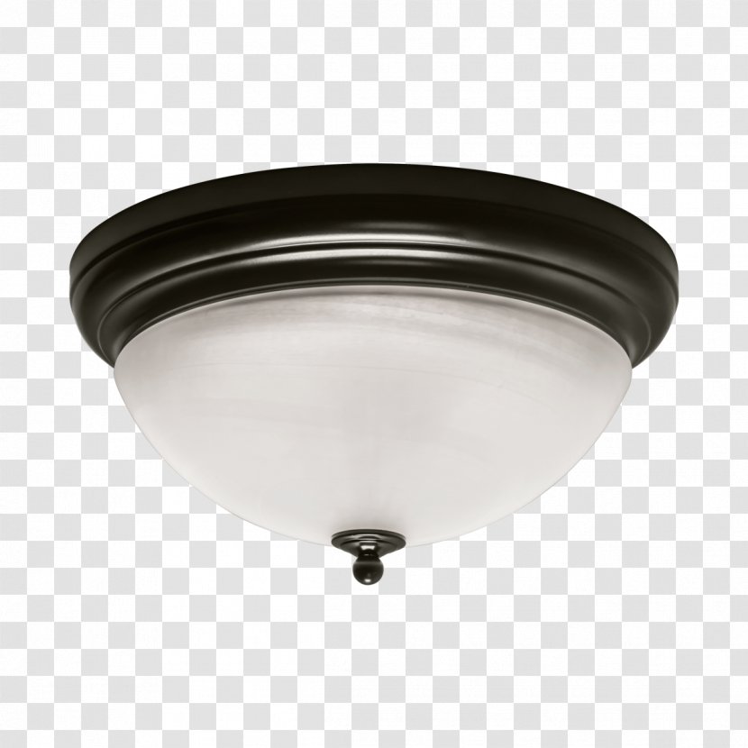 Light Fixture Brownlee Lighting Sconce Ceiling - Location - Floodlight Transparent PNG