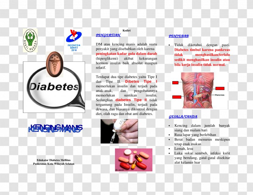 Diabetes Mellitus Type 2 Insulin Hyperglycemia Bronchopneumonia - Leaflets Transparent PNG