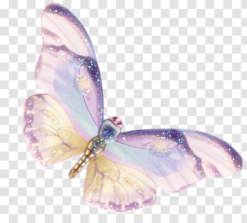 Butterfly Moth Lilac - Colorful Transparent PNG