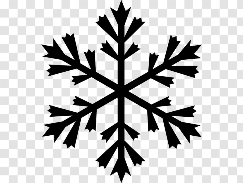 TATRA Ski Rent & School Drawing - Leaf - Snowflake Transparent PNG