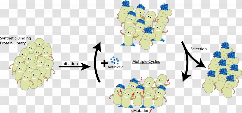 CeBiTec Protein International Genetically Engineered Machine Directed Evolution Mutagenesis - Technology - Spherical Cartoon Germs Transparent PNG