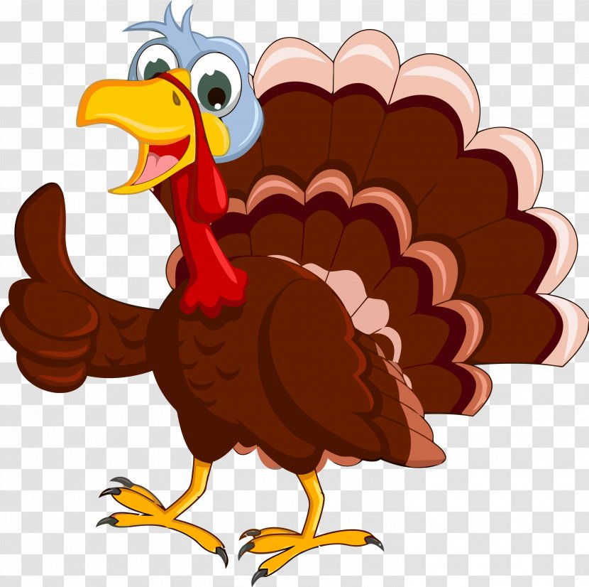 Thanksgiving Turkey - Bird - Chicken Rooster Transparent PNG