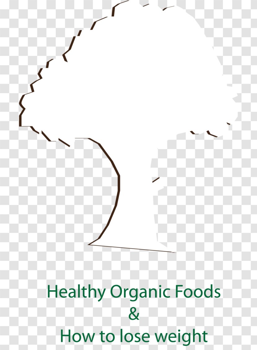 Circle Line Art Angle Diagram Clip - Piramal Enterprises - Shading Style Transparent PNG