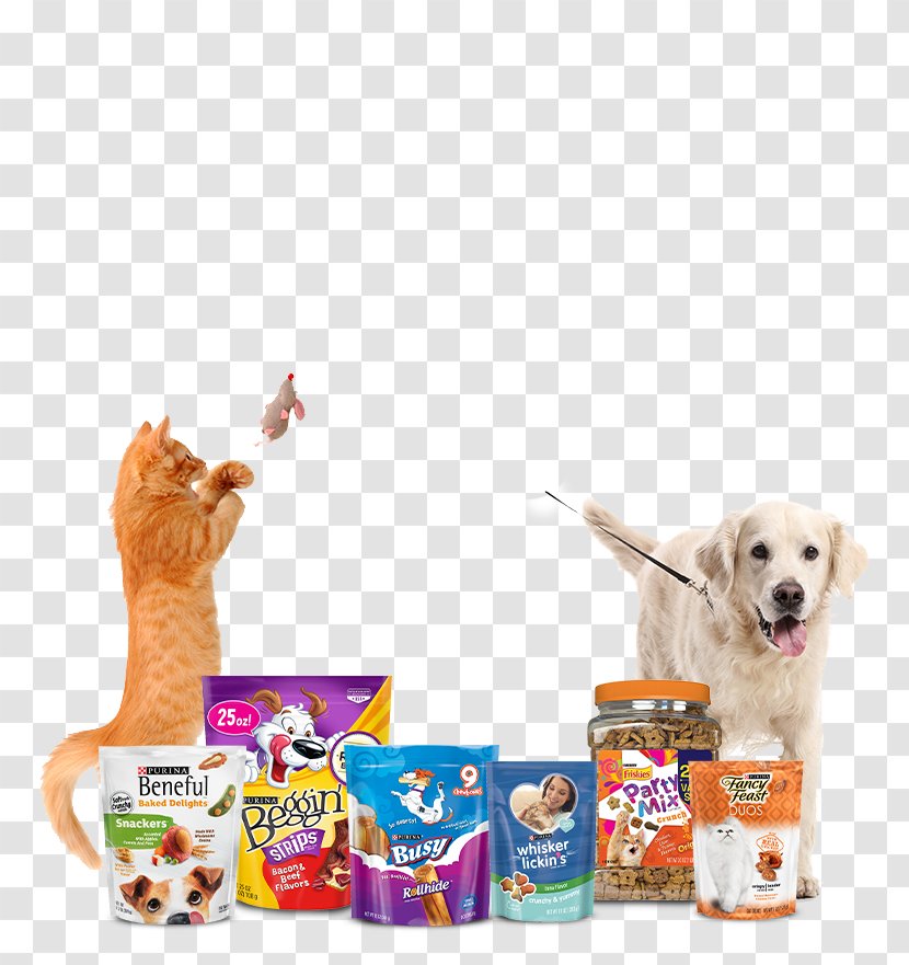 Puppy Beneful Baked Delights Dog Snacks Snackers Food Transparent PNG