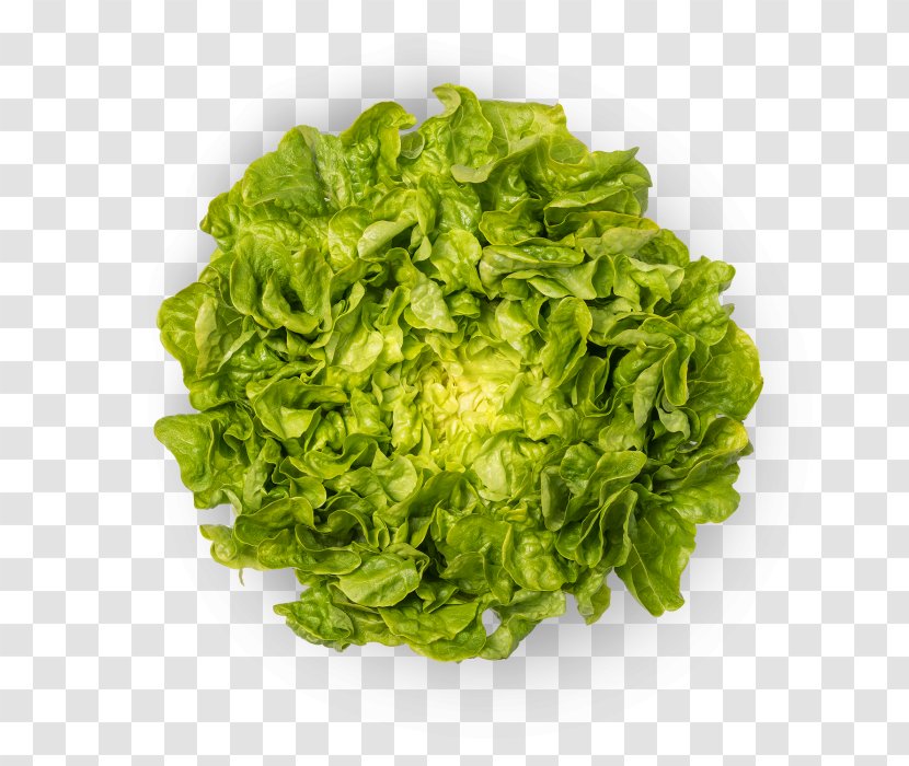 Romaine Lettuce Bio Suisse Green Food Produce - Leaf Vegetable - Swiss Chard Kale Transparent PNG