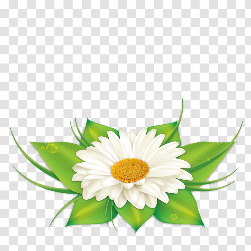 Earth Euclidean Vector - Floristry - Decoration Chrysanthemum Transparent PNG