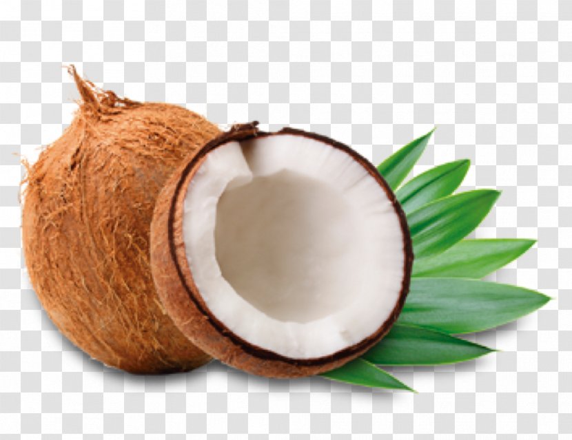 Coconut Water Oil Milk - Fruit - Cocos Transparent PNG