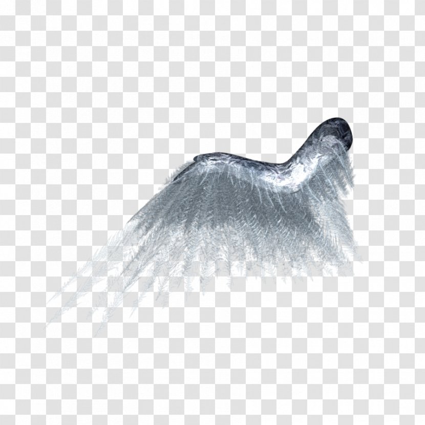 DeviantArt Wing Butterfly - Frost - Wings Transparent PNG