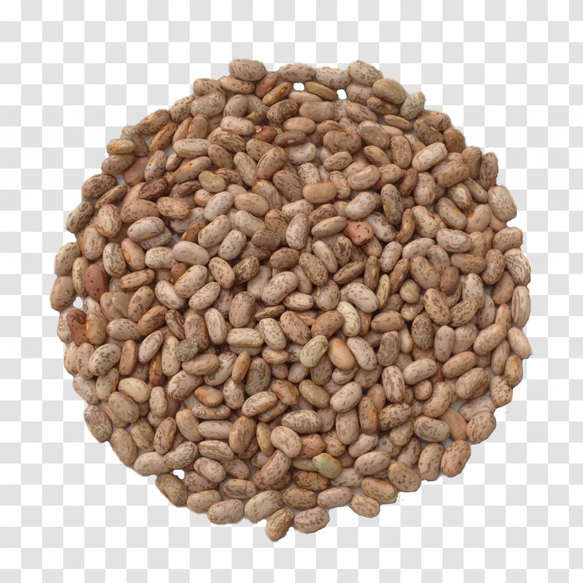 Refried Beans Common Bean Seed Nut Soybean - Chia - White Rose Transparent PNG