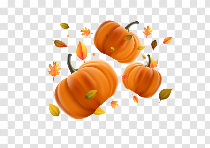 Pumpkin Calabaza Halloween Jack-o'-lantern - Cucurbita - Free Download Transparent PNG