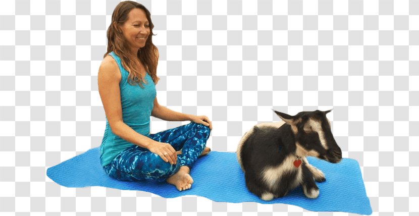 Goat Yoga Instructor Pet Animal-assisted Therapy - Animalassisted Transparent PNG