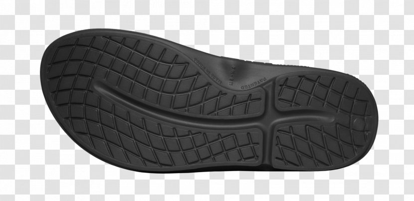 Slipper Sandal Footwear Sports Shoes - Tennis Shoe Transparent PNG