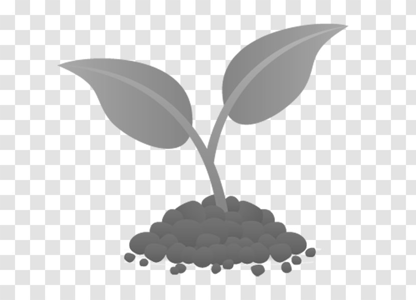 Plant Soil Seed Agriculture Leaf Transparent PNG