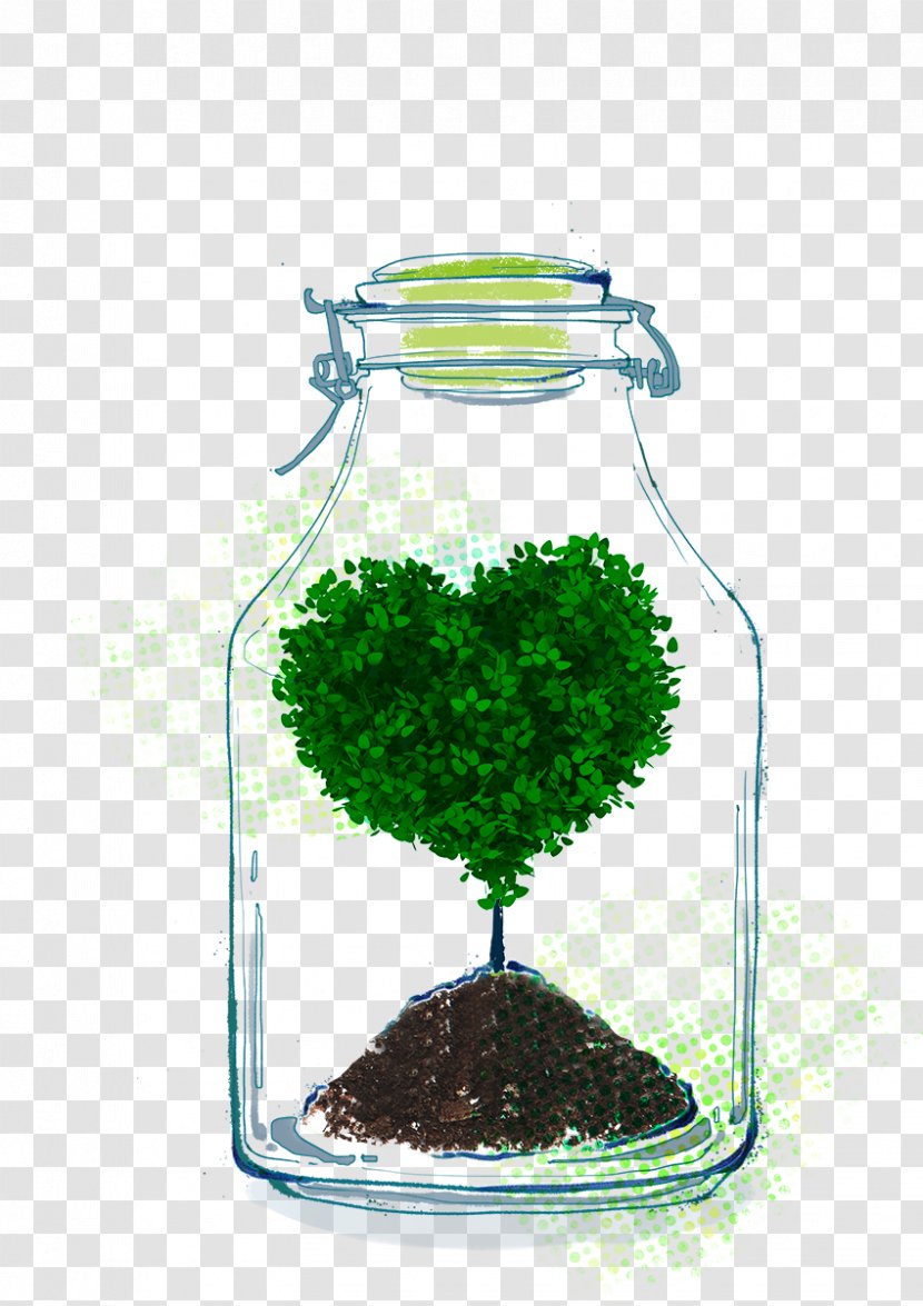 Bottle Download - Houseplant Transparent PNG