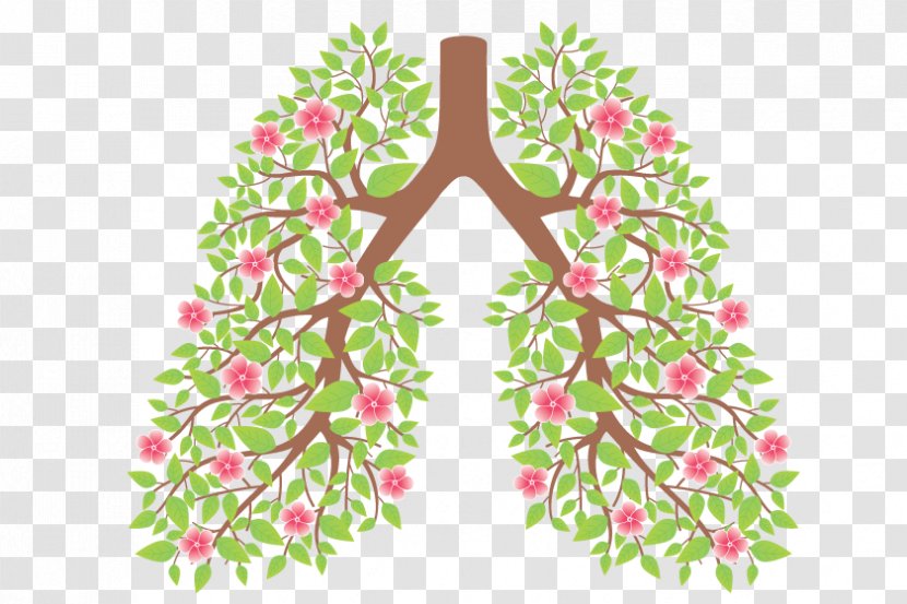 Smoking Cessation Lung Ban Drawing - Leaf - Health Transparent PNG