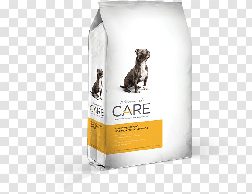 Dog Food Cat Pet - Frame - Reasonable Diet Transparent PNG
