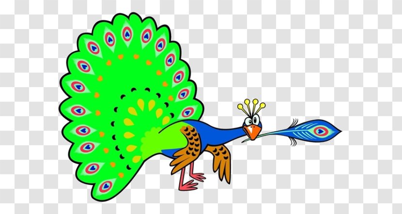 Peafowl Cartoon Clip Art - Tree - Peacock Material Transparent PNG