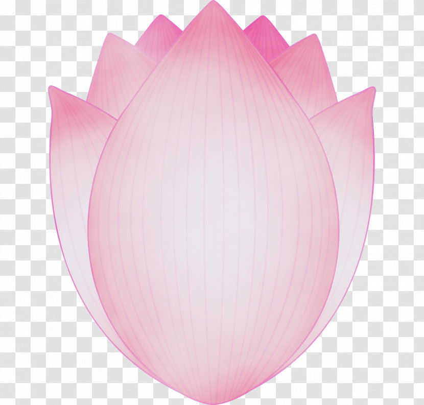 Pink Petal Tulip Plant Flower Transparent PNG