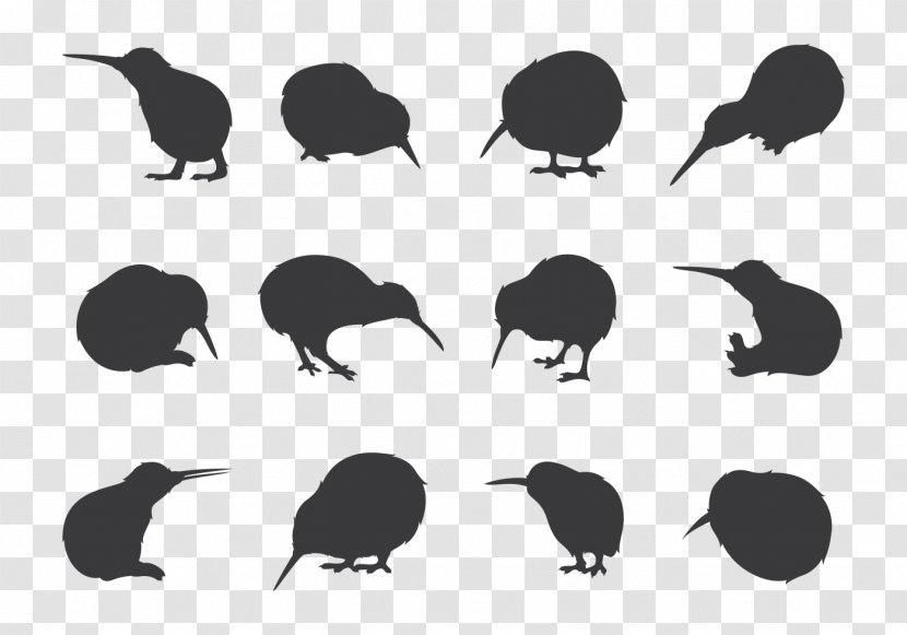 New Zealand Kiwis Silhouette Drawing - Kiwi - Bird Transparent PNG