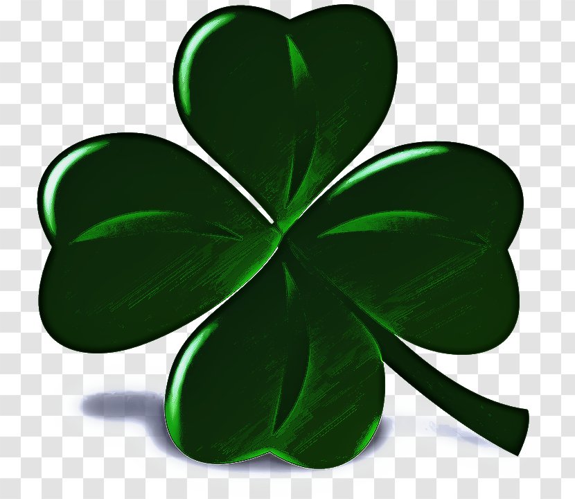 Saint Patricks Day - Plant - Flower Petal Transparent PNG