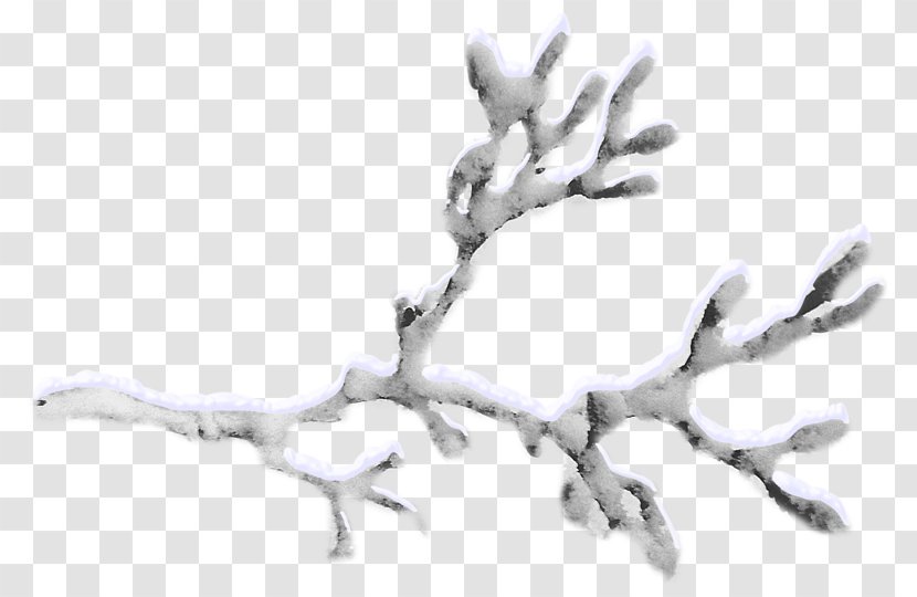 Branch Snow Tree Twig - Drawing Transparent PNG