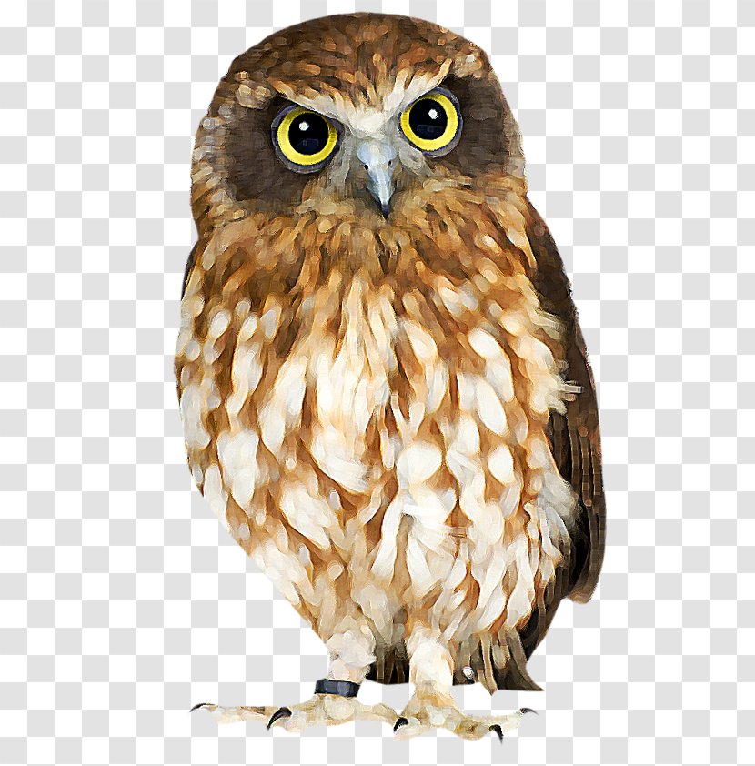 Eurasian Eagle-owl Bird True Owl Skazki I Kartinki Child - Of Prey Transparent PNG