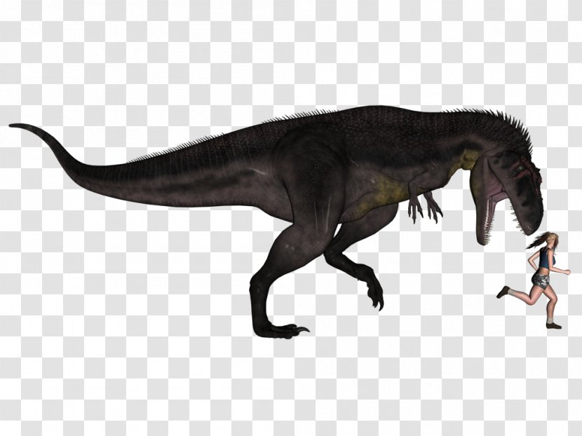 Tyrannotitan Giganotosaurus Tyrannosaurus Mapusaurus Sauroniops - Velociraptor Transparent PNG