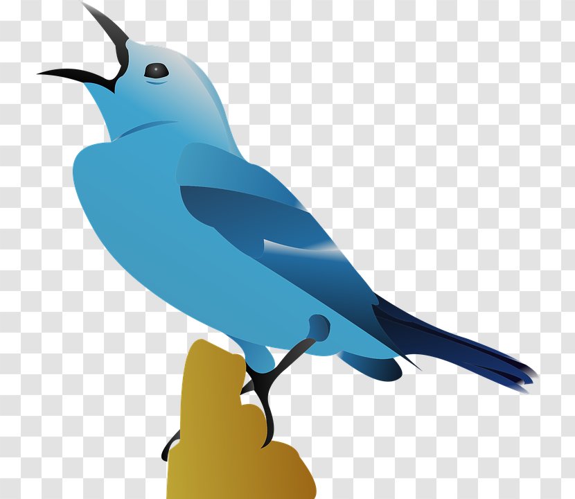 Clip Art Vector Graphics Image Openclipart - Drawing - Joli Bluebirds Transparent PNG