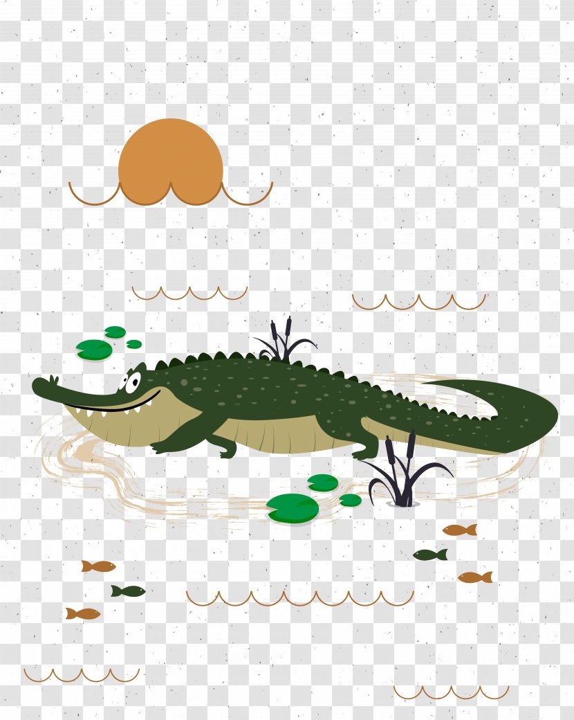 Cartoon Drawing Illustration - Crocodile Transparent PNG