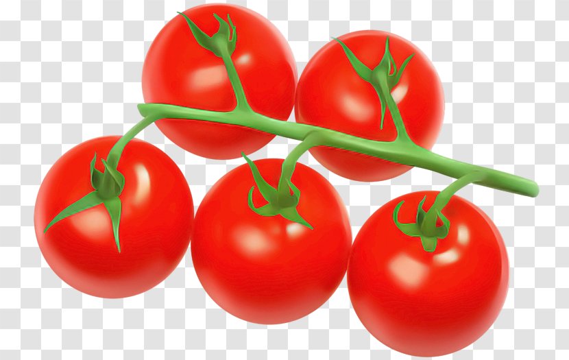 Tomato - Food - Plum Red Transparent PNG