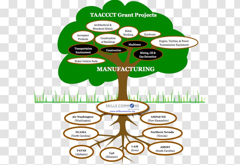 Information Technology Tree Manufacturing - Steam Fields Transparent PNG